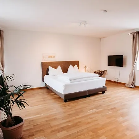 Kaiser's Hof Lägenhetshotell Strass (Waldviertel)